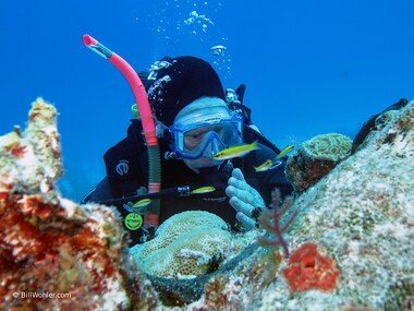 Deb hopes some cleaner shrimp gives her a free manicure