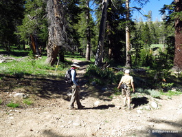 An even less marked trailhead where we returned to the Schneider Camp road