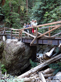 An upgraded bridge on the Bootjack trail