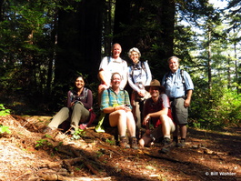 Rucha, Dave, Deb, Lori, Bill, and Dave among the giant redwoods