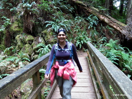 Rucha crosses one of the many bridges on the Steep Ravine trail