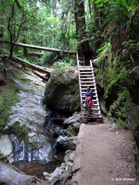 Rucha at the ladder on the Steep Ravine trail