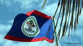 The Belize flag