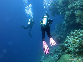 Lori and Deb along a wall