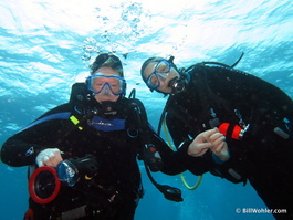 Deb and Lori enjoy the undersea world