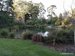 A peaceful spot by the Rock Garden