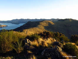 The Crater Rim