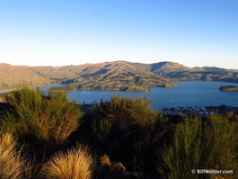 Lyttleton Harbour