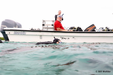 Lori snorkels with a crocodile--say what?