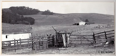 The Driscoll Ranch circa 1975 when we were neighbors of the Driscolls and I developed my own photos