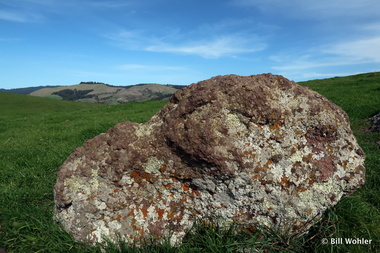 Rabbit Rock