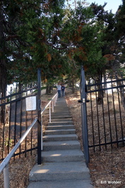 Stefan and Andy descend the long stairwell from the main building through the cypress to the other domes