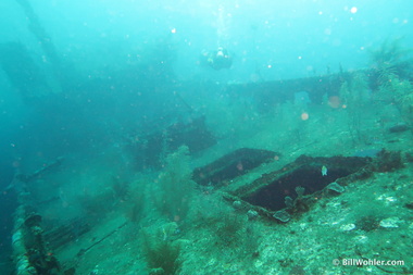 The deck of Mr. Bud