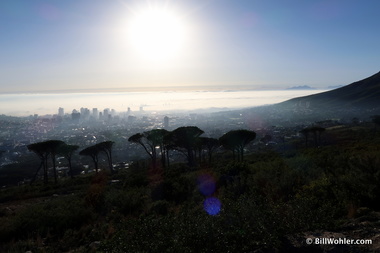 The view of Cape Town from the base of Table Mountain