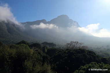 Fernwood Peak from the canopy walk