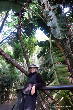 Lori enjoys the canopy walk