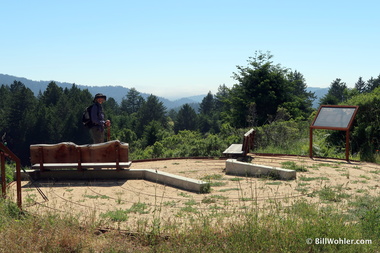 Lori and the artwork highlighting the conceptual rings of the redwood tree