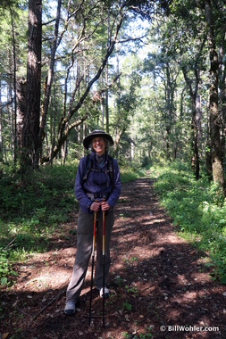 The forests in the Pescadero Creek complex were densely wooded and picturesque