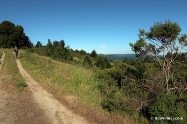 Lori hikes up the last bit of the Towne Fire Road just before our turnoff