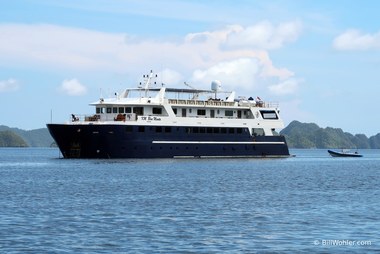 The Blue Manta