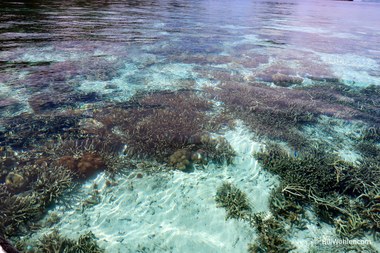 Very clear water