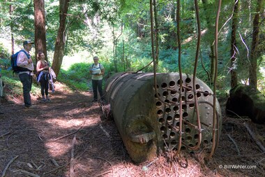 Nurse Log, 2017, Susanna Mishler, Logging boiler, electrical conduit, https://djerassi.org/sculptures/2410/