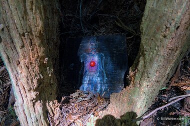 The Faeries, 2002, Derek Jackson, Spray paint, found wood, https://djerassi.org/sculptures/the-faeries/