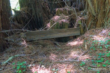 Footnotes, 2016, Cintia Santana, Found redwood planks, https://djerassi.org/sculptures/footnotes/