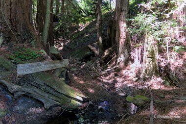Footnotes, 2016, Cintia Santana, Found redwood planks, https://djerassi.org/sculptures/footnotes/