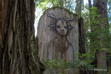 The Faeries, 2002, Derek Jackson, .Spray paint, found wood, https://djerassi.org/sculptures/the-faeries/