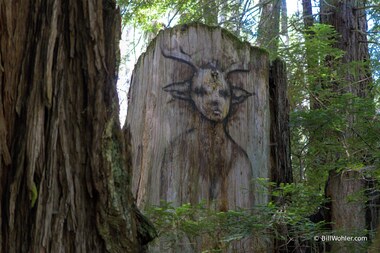 The Faeries, 2002, Derek Jackson, Spray paint, found wood, https://djerassi.org/sculptures/the-faeries/