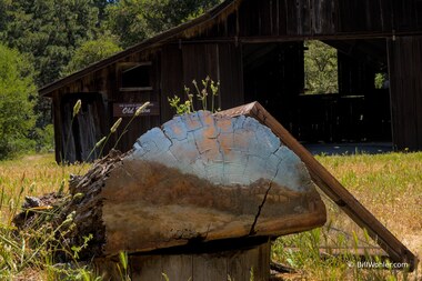 Landscape Painting, 1995, Alison Moritsugu, Oil paint, found redwood log, https://djerassi.org/sculptures/landscape-painting/