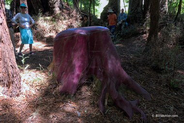 Roots to Crown, 2006, Alissa Neglia, Polyfoam, burlap, vinyl, upholstering tacks, https://djerassi.org/sculptures/roots-to-crown/