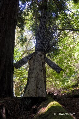 A Djerassi burning man?