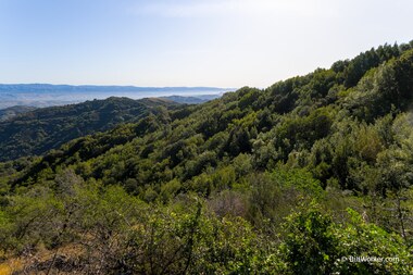 The mostly shaded Mt. Umunhum trail