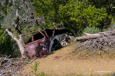 Mt. Umunhum Road is hard on Volkwagen Bugs