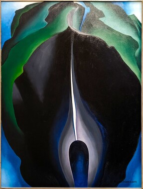 Jack-in-the-Pulpit No. IV by Georgia O'Keeffe, 1930