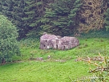 An old homestead