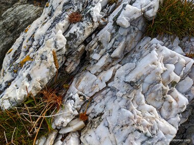 A nice chunk of quartz