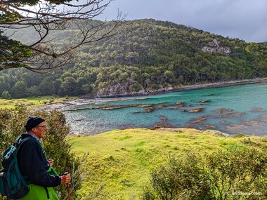 Jeff takes a breather, while I wonder what's it like to dive in these kelp forests
