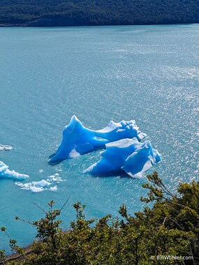 Icebergs from the Glaciar Perito Moreno
