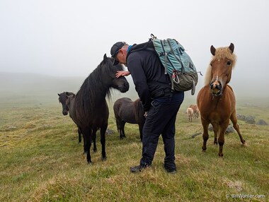J&oacute;n says hello to a friendly horse