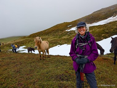 Half an hour later, the horses are still following us