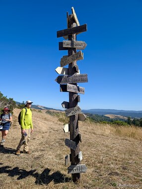 Michael ponders his path.