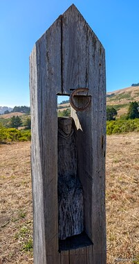 The Work, 2002. Alfred B&ouml;schl. Redwood, madrone, paint.