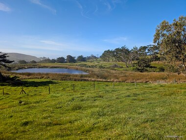 We took a short hike through the property, past this man-made reservoir used to water cattle and crops, that has recently naturalized