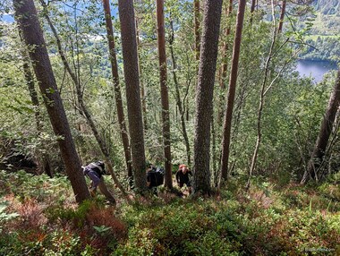 After a relaxing start on a fire road, the trail suddenly gets much steeper for Lori, Mats, and Larry.