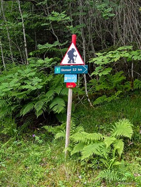 There be trolls here. Hiking trolls!