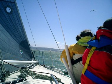 Bill, Jami, and seagull